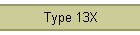 Type 13X
