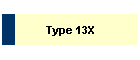 Type 13X